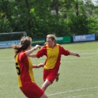 hsv_d1_kampioen_074
