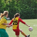 hsv_d1_kampioen_080
