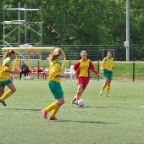 hsv_d1_kampioen_082