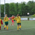 hsv_d1_kampioen_096