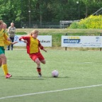 hsv_d1_kampioen_102