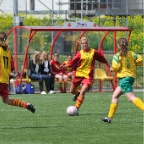 hsv_d1_kampioen_123