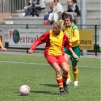 hsv_d1_kampioen_145