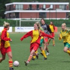 hsv_d1_kampioen_149