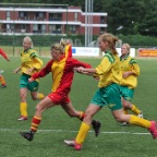 hsv_d1_kampioen_151