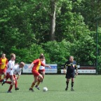 hsv_foresters_15052011_048