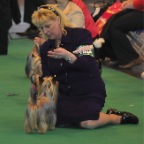 Crufts_2009_019