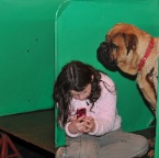 Crufts_2009_044