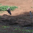 kenia_tanzania_007