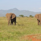 kenia_tanzania_011