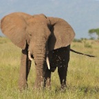 kenia_tanzania_012