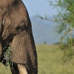 kenia_tanzania_014