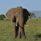 kenia_tanzania_015
