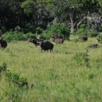 kenia_tanzania_016