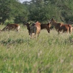 kenia_tanzania_019