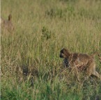 kenia_tanzania_024