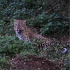 kenia_tanzania_029
