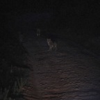 kenia_tanzania_031