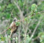 kenia_tanzania_032