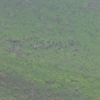 kenia_tanzania_034