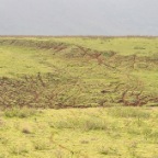 kenia_tanzania_035
