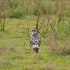 kenia_tanzania_037