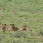 kenia_tanzania_041