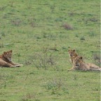 kenia_tanzania_042