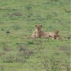 kenia_tanzania_044