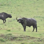 kenia_tanzania_045