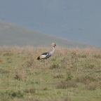 kenia_tanzania_046