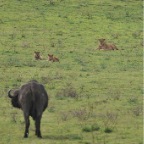 kenia_tanzania_047