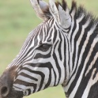 kenia_tanzania_048