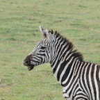 kenia_tanzania_049