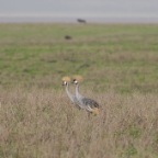 kenia_tanzania_053