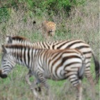kenia_tanzania_066