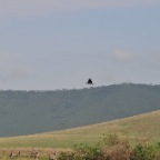 kenia_tanzania_067