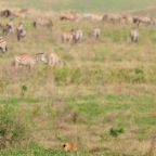 kenia_tanzania_068