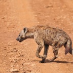 kenia_tanzania_074