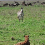 kenia_tanzania_077