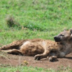kenia_tanzania_079