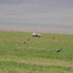 kenia_tanzania_083