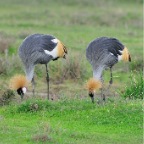 kenia_tanzania_102