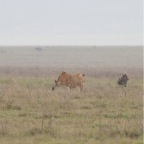 kenia_tanzania_103