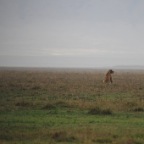 kenia_tanzania_104