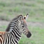 kenia_tanzania_108