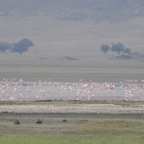 kenia_tanzania_109