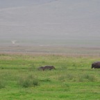 kenia_tanzania_111