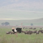 kenia_tanzania_112