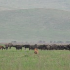 kenia_tanzania_116